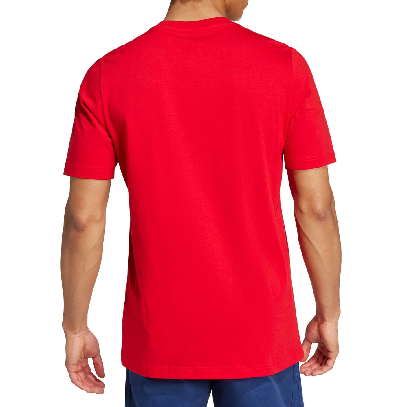 adidas Men's Arsenal FC DNA GR Tee Red Back