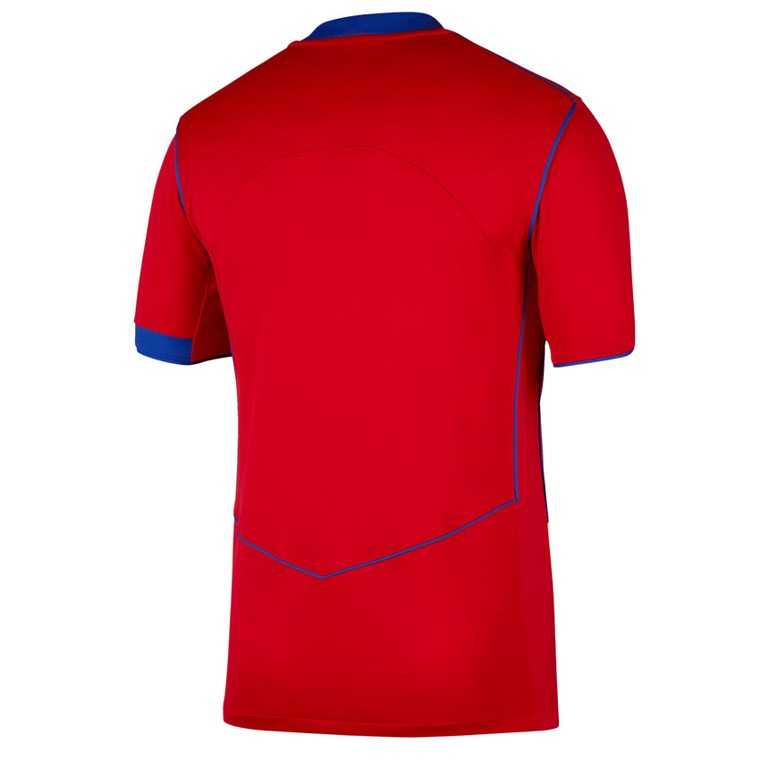 Nike Men's PSG 2025/26 Third Jersey Global Red/Hyper Royal Back