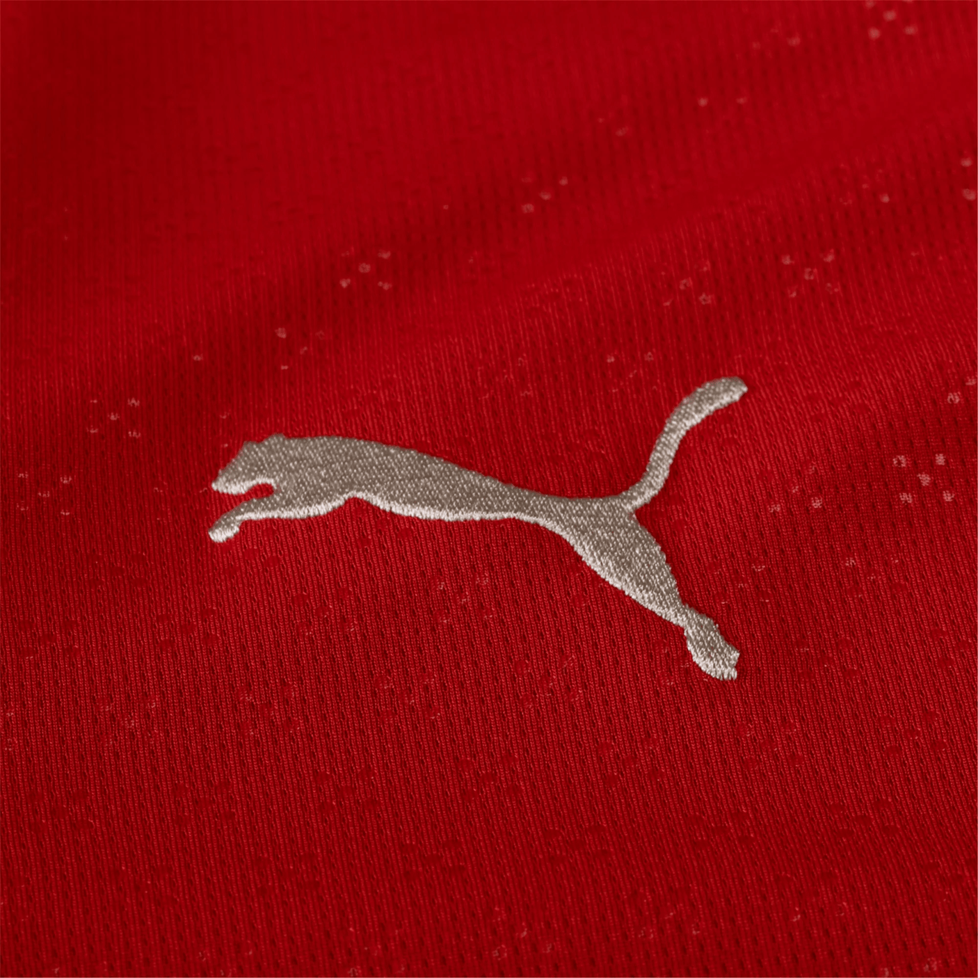 PUMA Men's Portugal 2025/26 Home Jersey Red Cat
