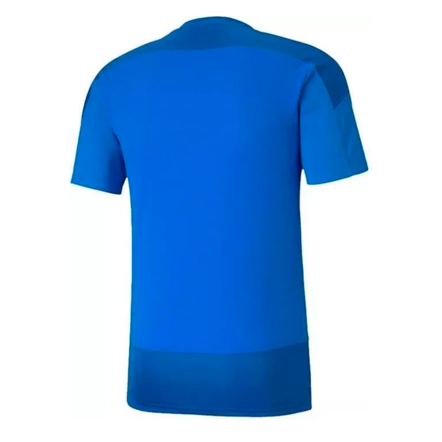 PUMA Men's Team Goal 23 Jersey Royal Back
