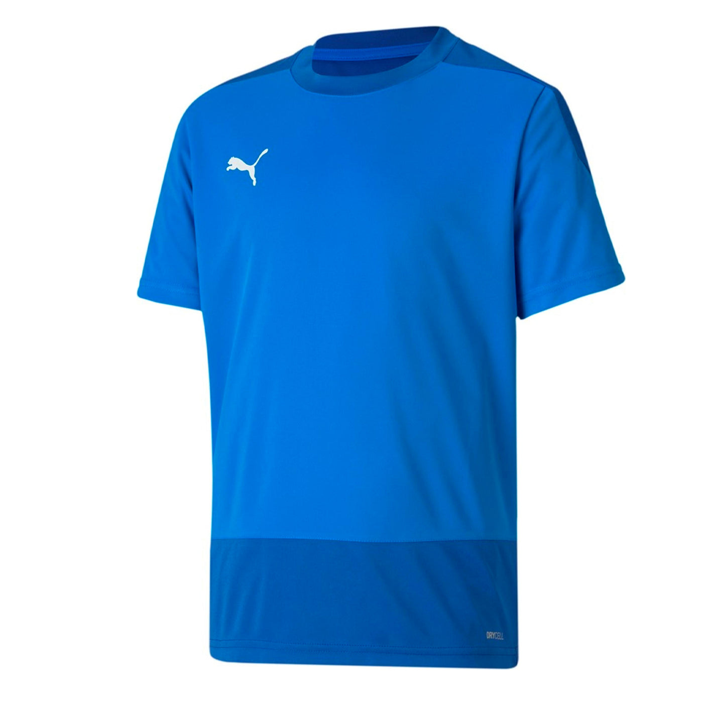 PUMA Men's Team Goal 23 Jersey Royal Front