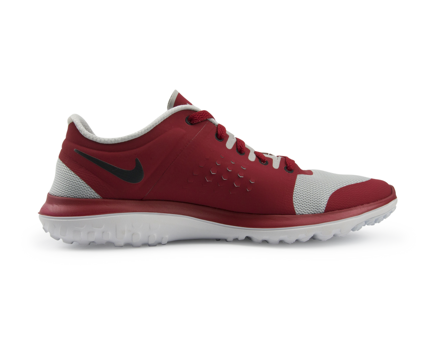 Nike Men's FS Lite Run Running Shoes Pure Platinum/Black/Gym Red
