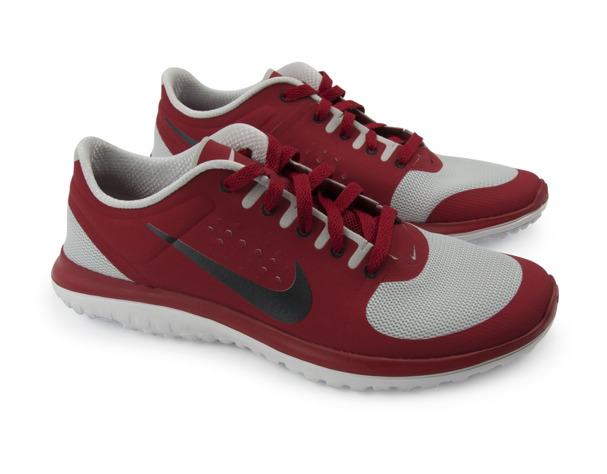 Nike Men's FS Lite Run Running Shoes Pure Platinum/Black/Gym Red