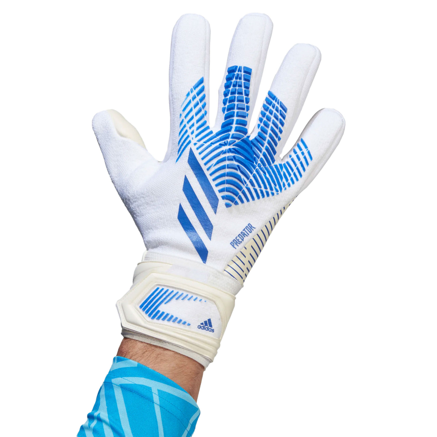 adidas Men's Predator League Goalkeeper Gloves White/Hi Res Blue Front