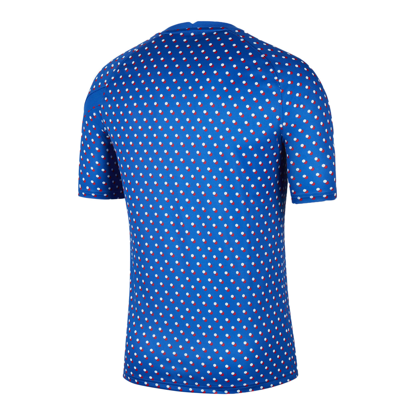 Nike Men's France 2022 Training Jersey Hyper Cobalt/White Back