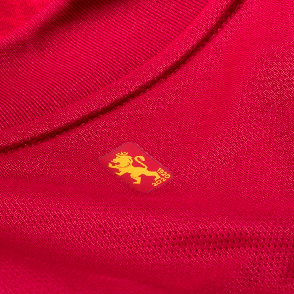 adidas Men's Spain 2020 Ramos Home Jersey Red/Bold Gold