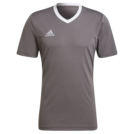 adidas Men's Entrada 22 Jersey Grey Front