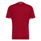 adidas Men's Wales 2026/27 Home Jersey Red Back