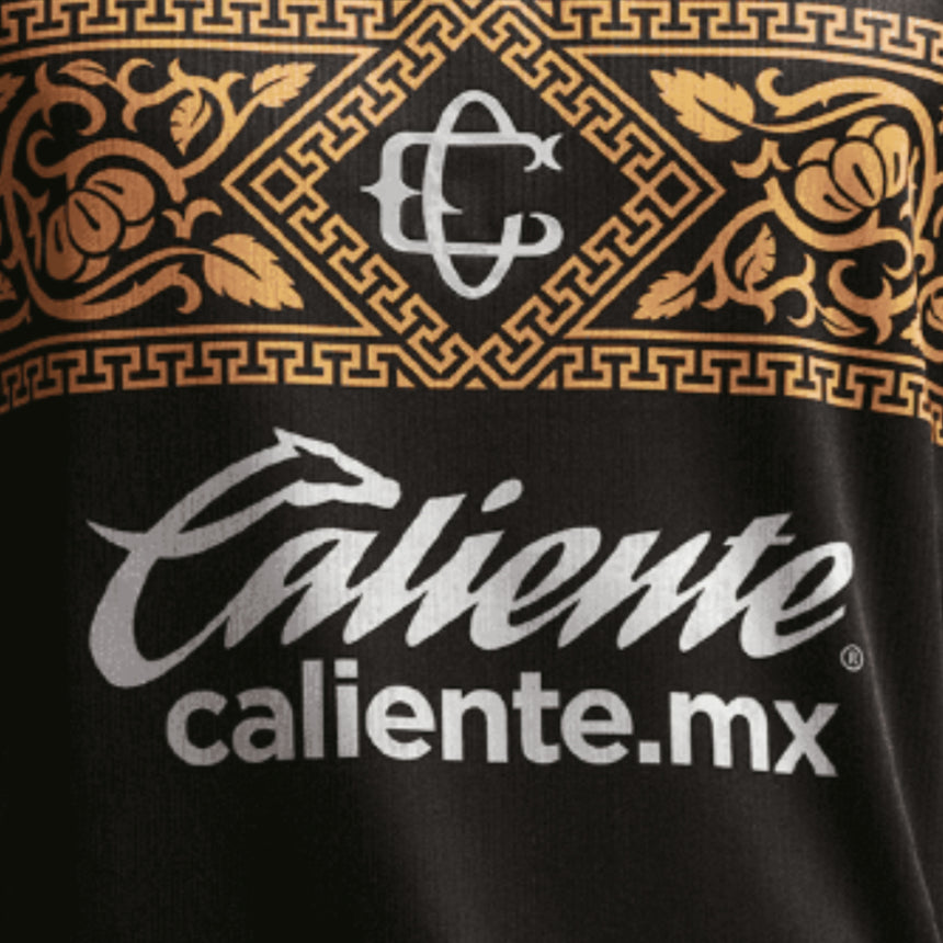 Nike Chivas De Guadalajara Men's Third Stadium 2026/27 Jersey Black/Truly Gold Crest