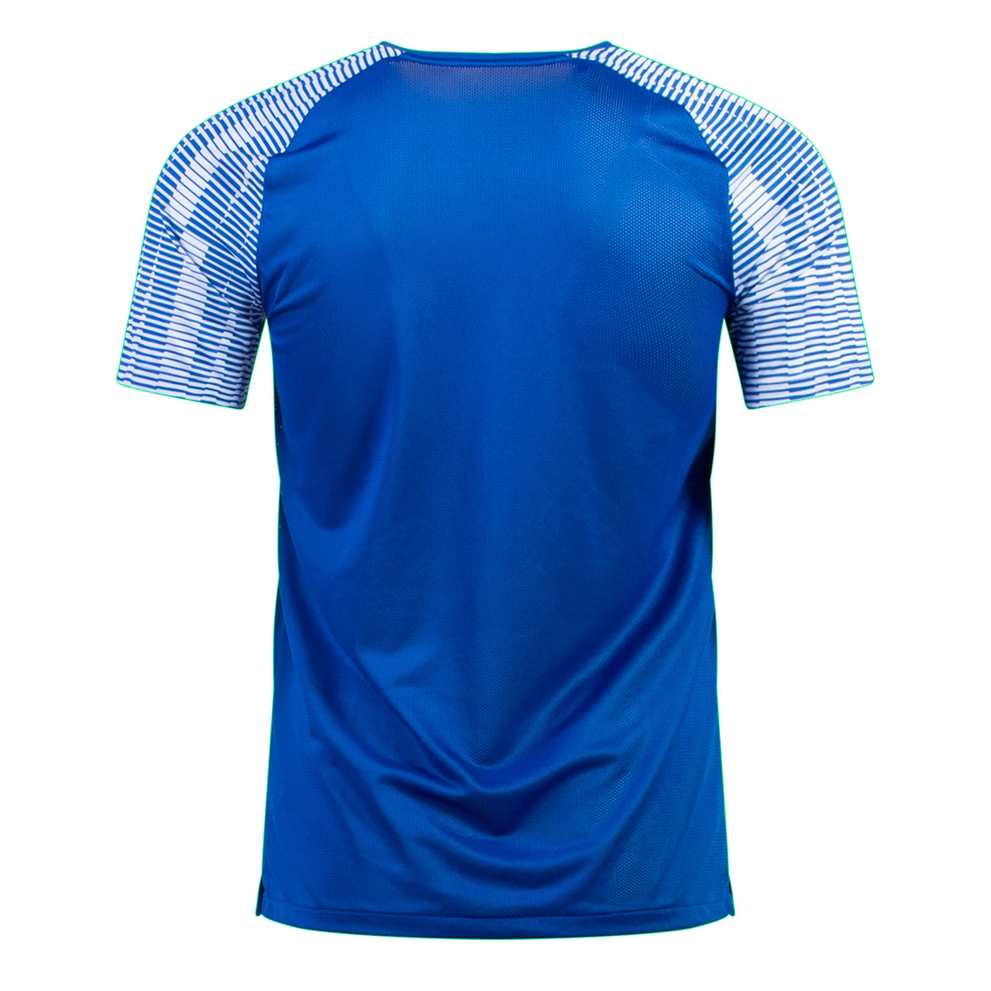 Nike Men's Academy Jersey Royal Blue/White Back