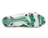 Nike Men's Tiempo Legend 10 Elite LV8 FG Stadium Green/Dark Obsidian Bottom