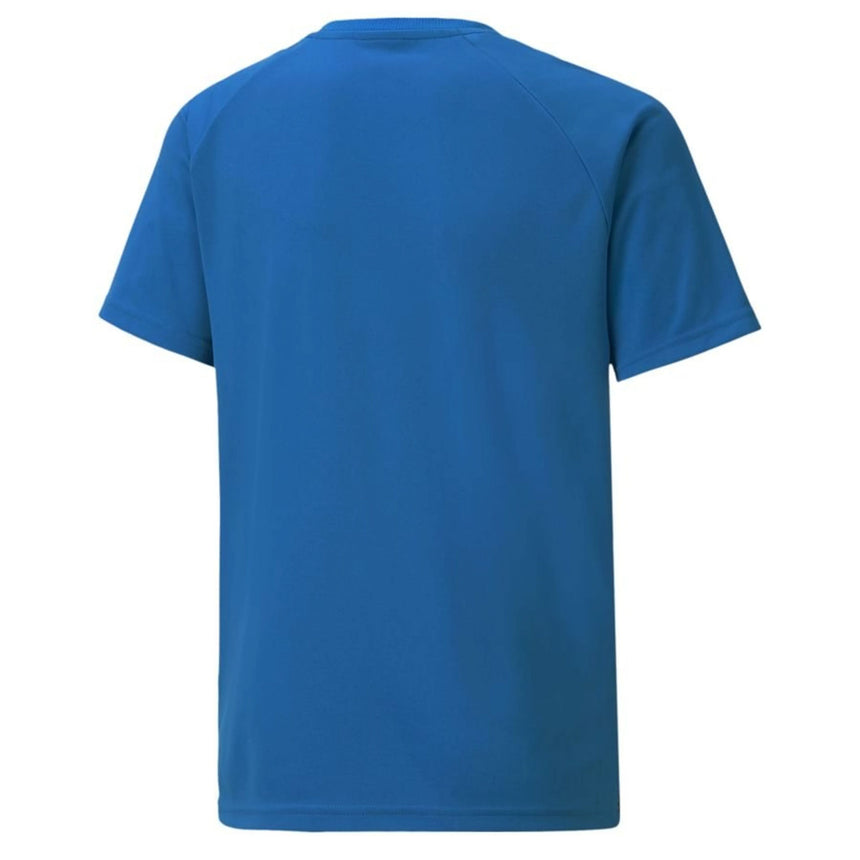 PUMA Kids Team Liga Striped Jersey Royal/Black Back