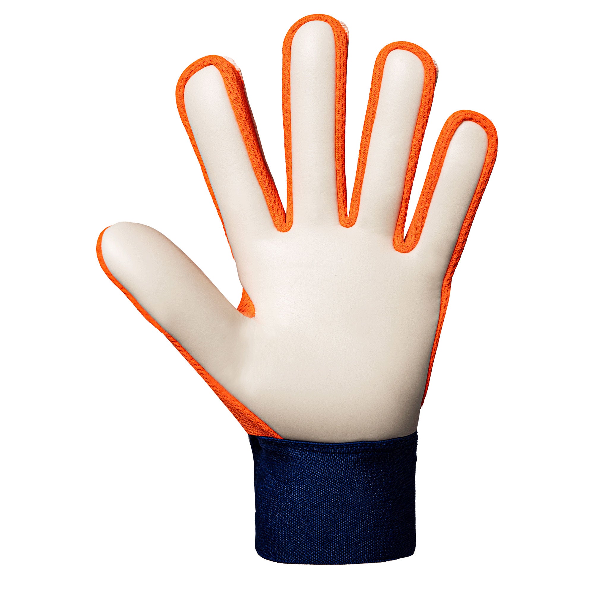 Guantes De Arquero Reusch Attrakt Starter Solid Finger Support Jr GK24 25 Ng Nino Guantes De Arquero Reusch Attrakt Starter Solid Finger Support Jr GK24 25 Ng Nino