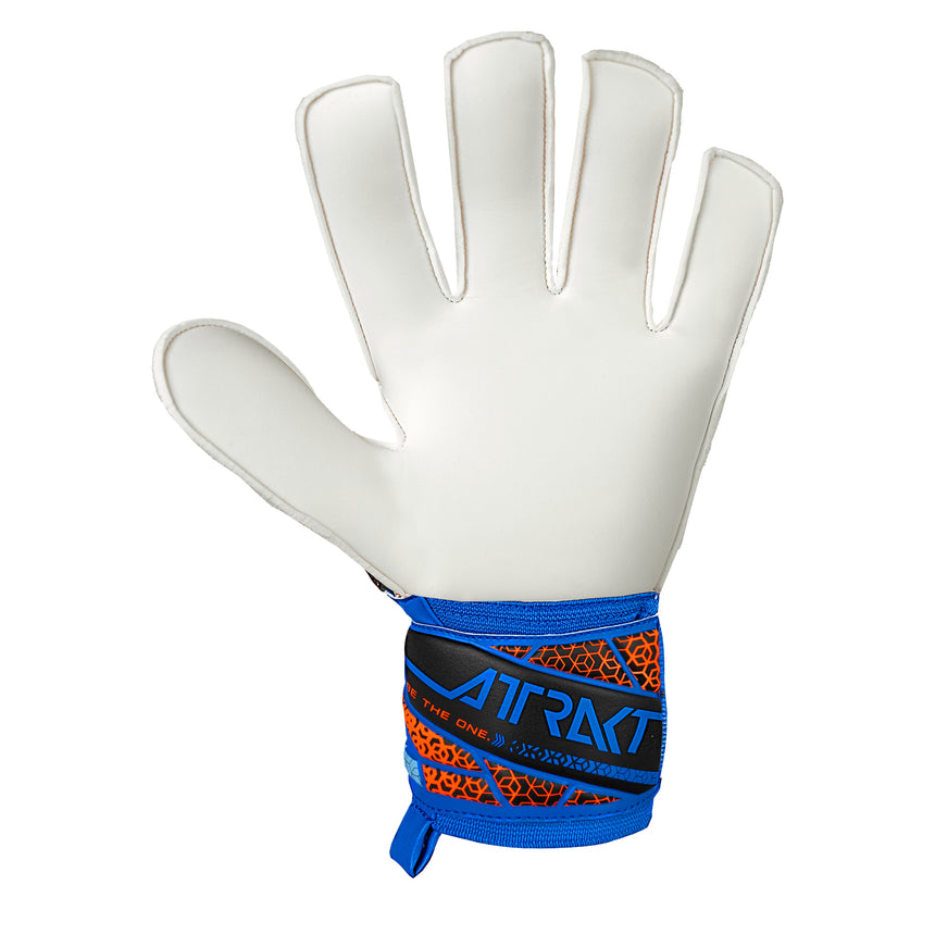 Reusch Men's Attrakt Starter Solid Goalkeeper Gloves Blue/Black Back