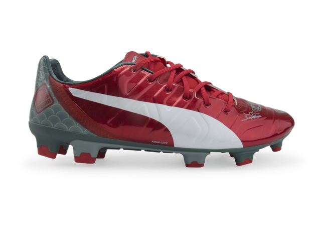 PUMA Men s evoPOWER 1.2 Graphic FG Puma Soccer Cleats Azteca Soccer