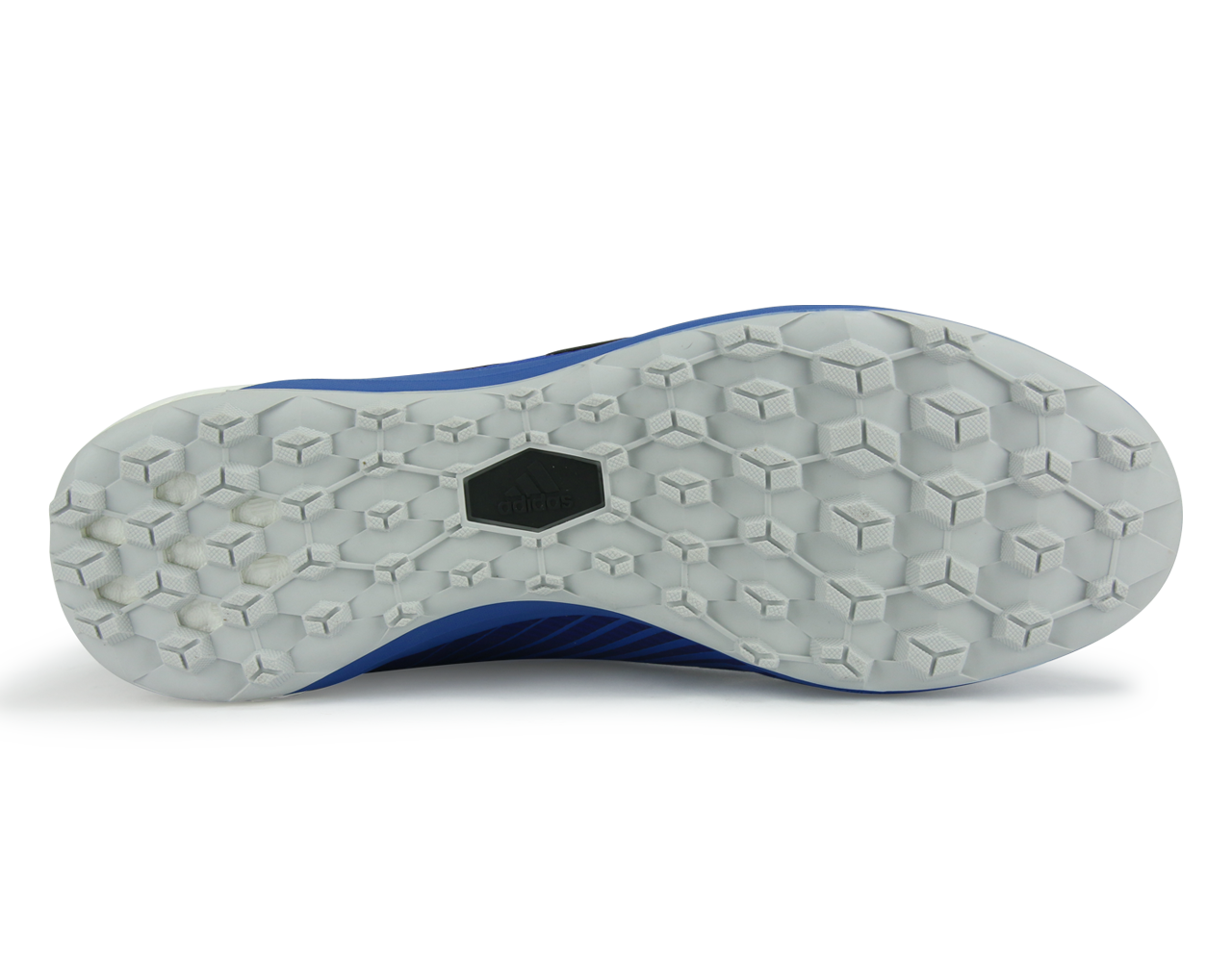 Ace tango 2025 17.1 turf