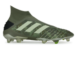 adidas Men's Predator 19+ FG Legacy Green/Sand/Solar Yellow