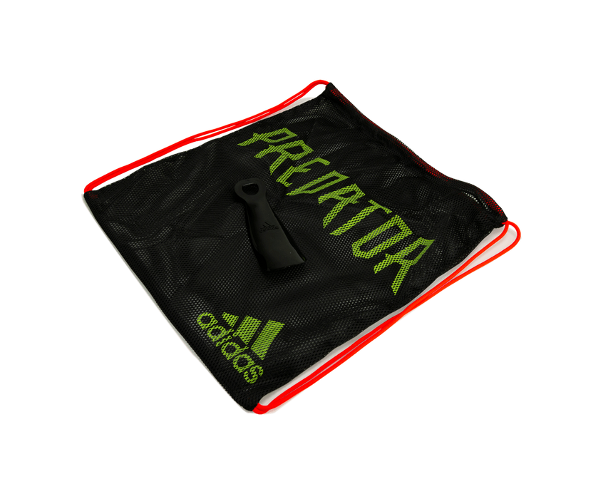 Shoebag