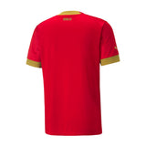 PUMA Men's Serbia 2022/23 Home Jersey Red/Gold Back